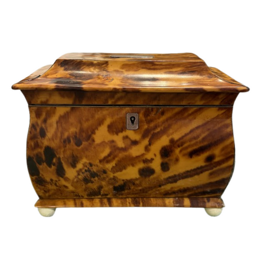 19th Century English Tortoise Shell Tea Caddy