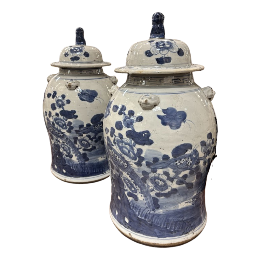 Pair of Chinese Porcelain Ginger Jars