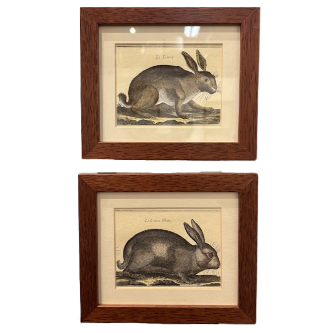 Two framed prints of rabbits on a white background