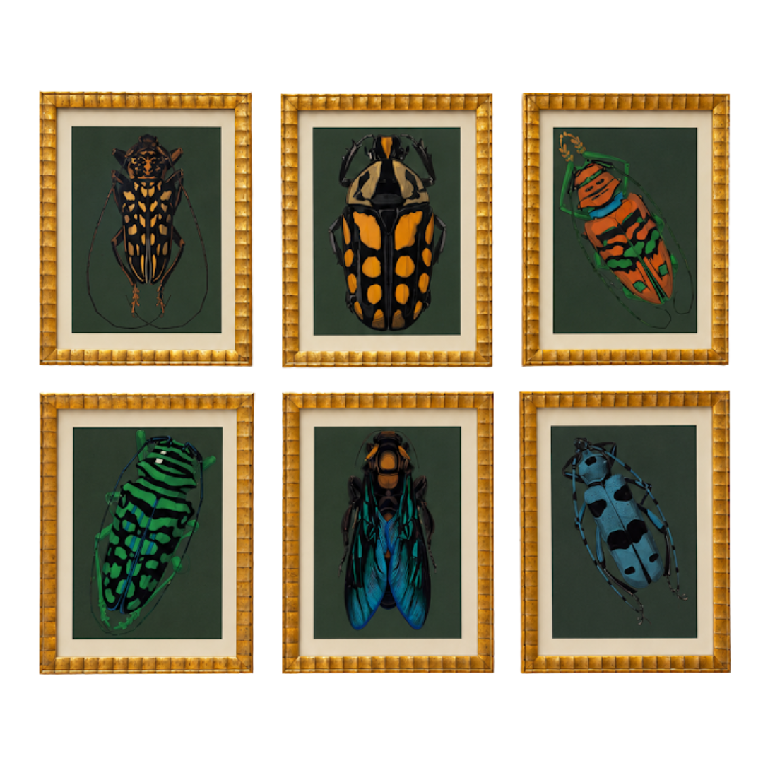 Set of Six Prints of Beetles on Green Backgrounds in Gold Frames