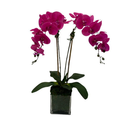 Pink Double Stem "Real Touch" Orchid