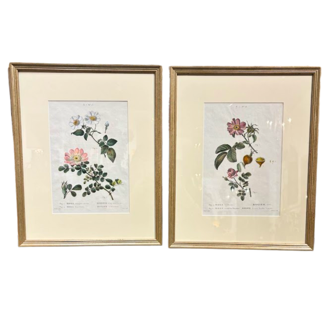 Pair of Antique 19th Century Hand Colored Engravings Commissioned by Josephine Bonaparte