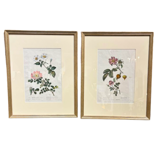 Pair of Antique 19th Century Hand Colored Engravings Commissioned by Josephine Bonaparte