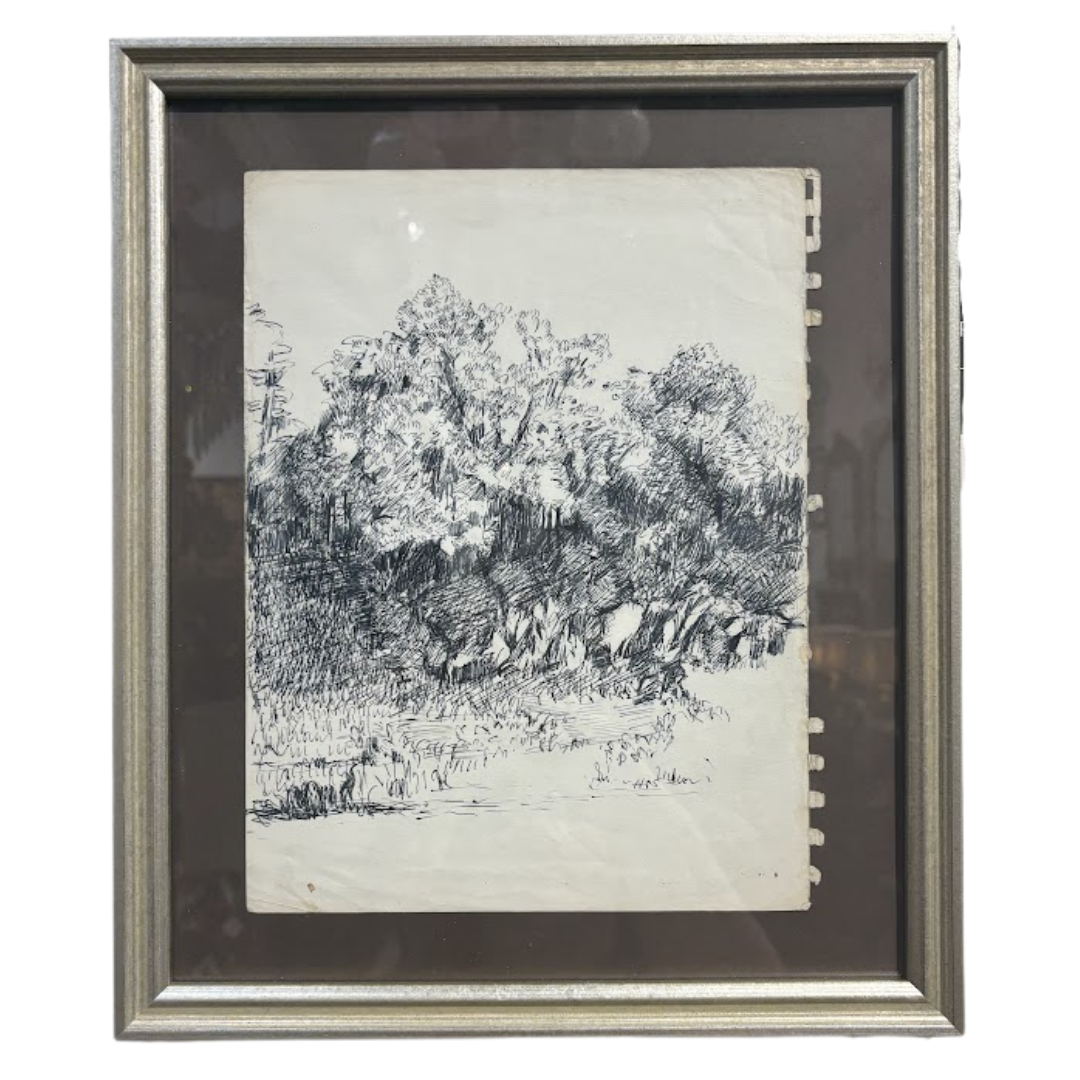 Framed Pen Sketch of Tree on Notebook Paper