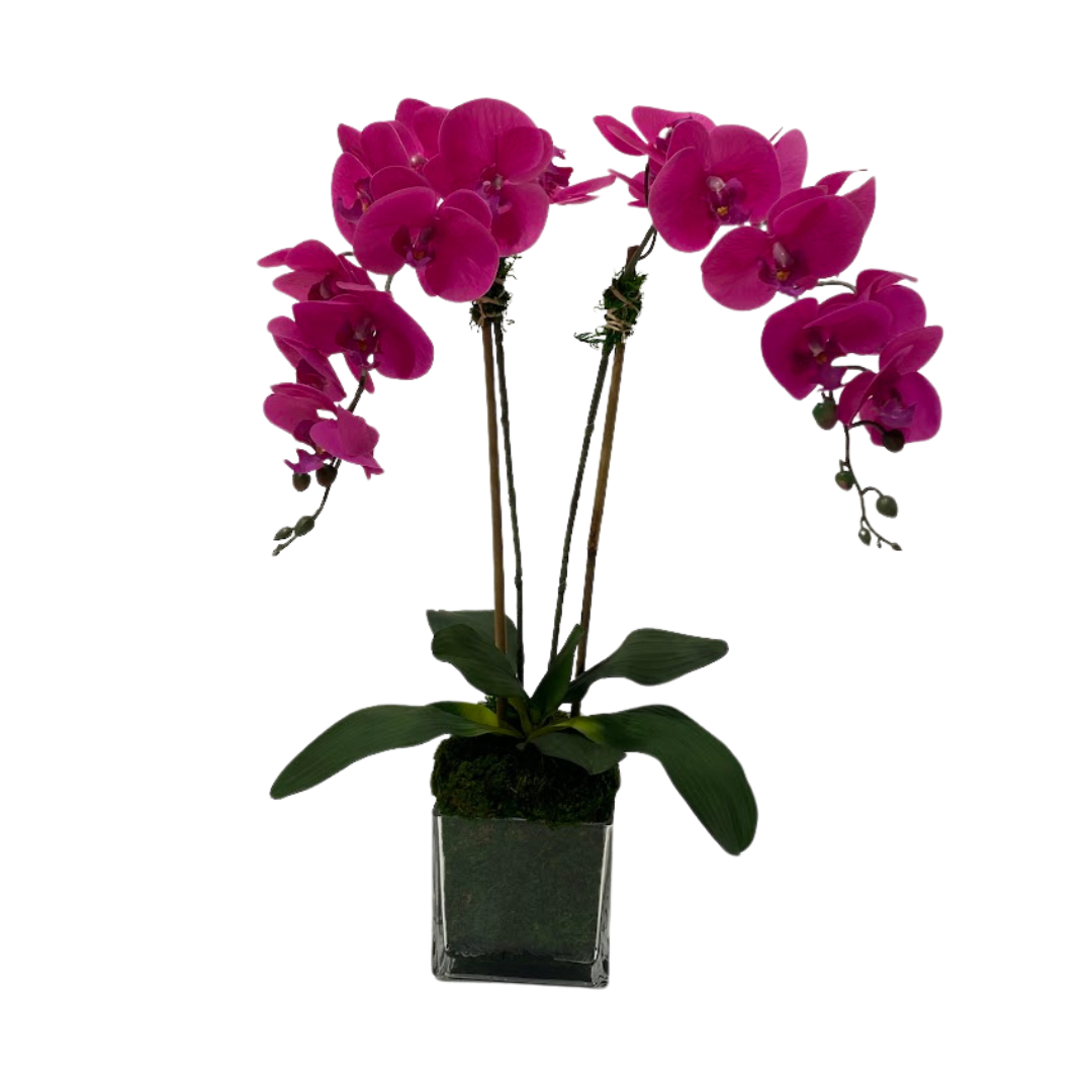 Pink Double Stem "Real Touch" Orchid