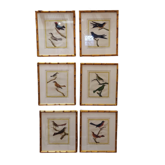 Set of 6 Gold Framed Francois Martinet Hand Colored Engravings Circa 1765-1783