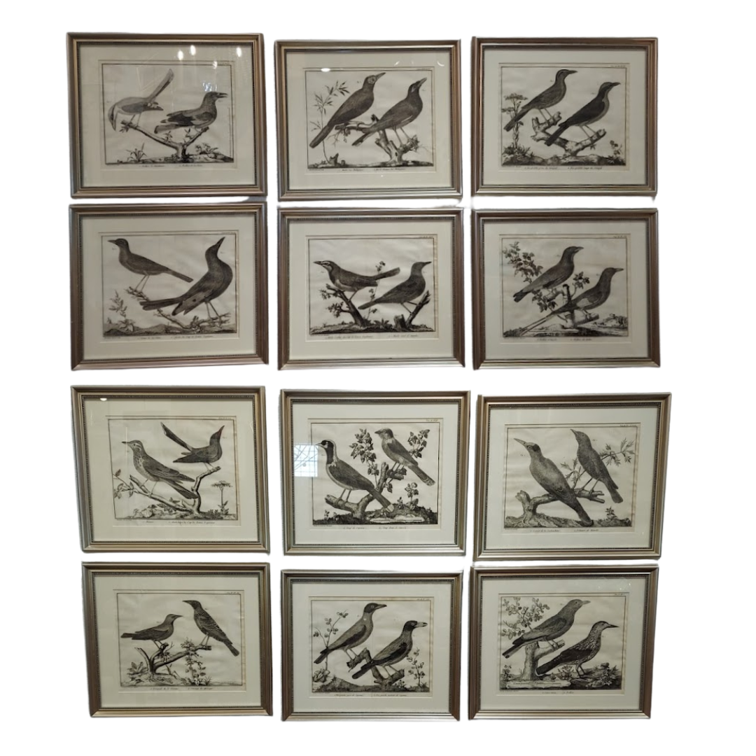 Pairs of Francois Martinet Bird Engravings Circa 1765-1783