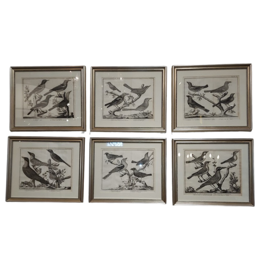 Set of 6 Francois Martinet Bird Engravings Circa 1765-1783