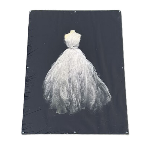 Photograph of Christian Dior Dress by Meridy King in Custom Acrylic Frame