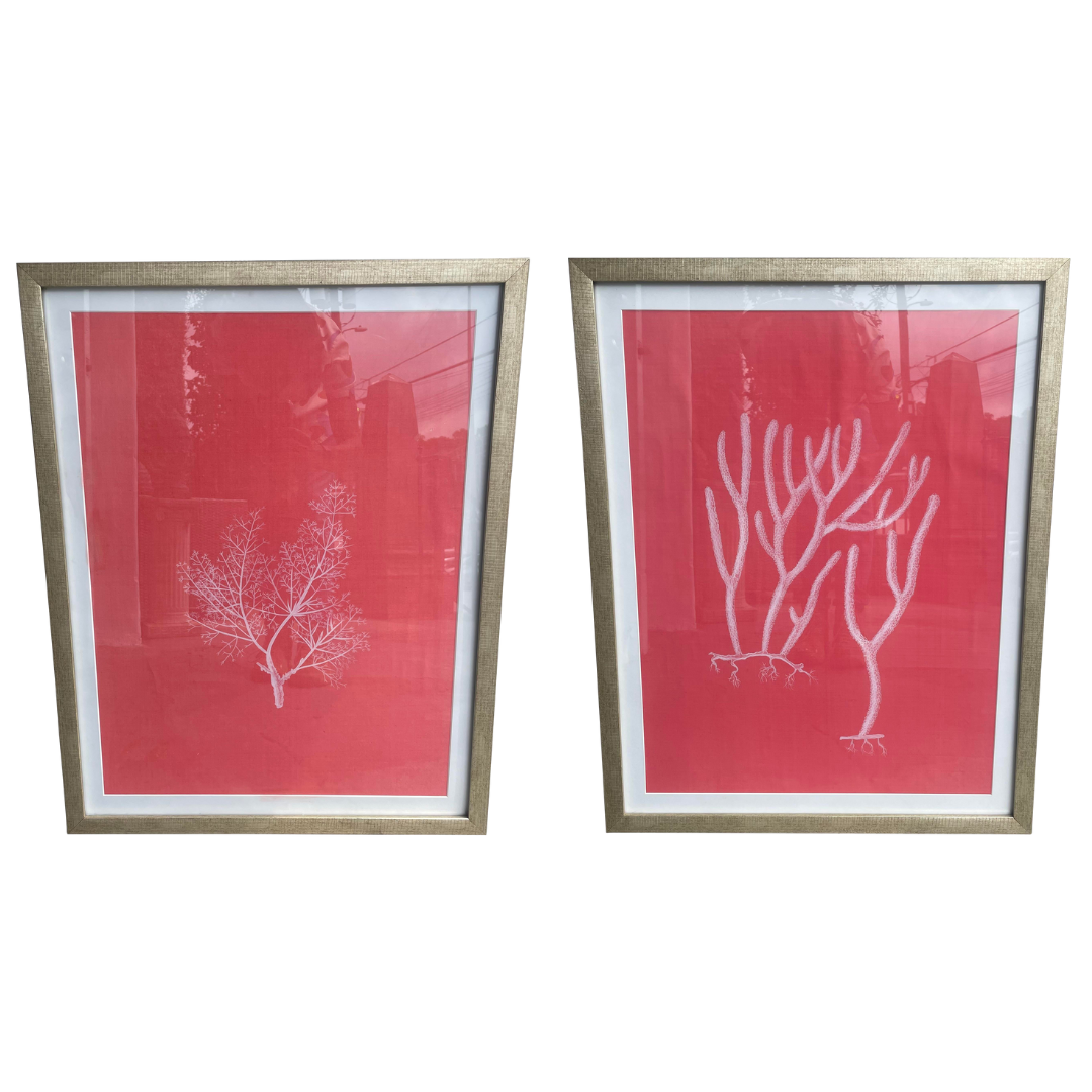 Modern Framed Paintings of Coral on Silk Canvas