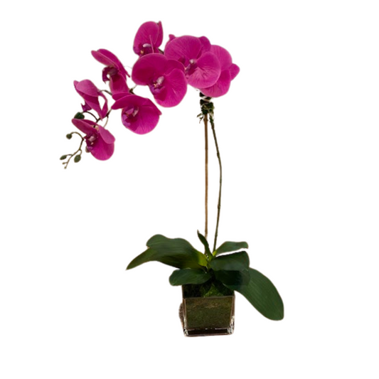 Pink Single Stem "Real Touch" Orchid